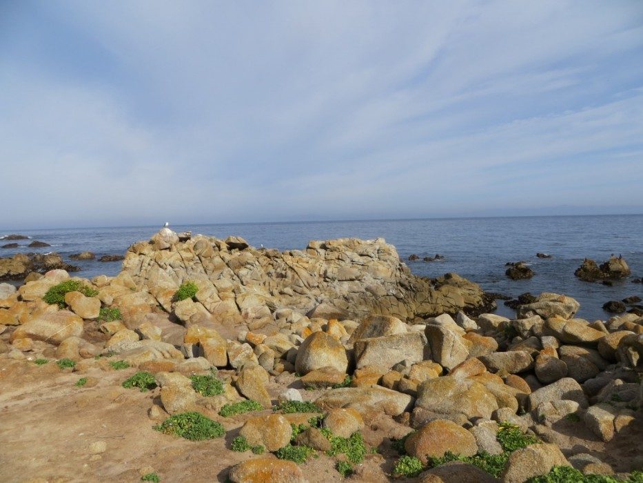 Point Pinos Coastline