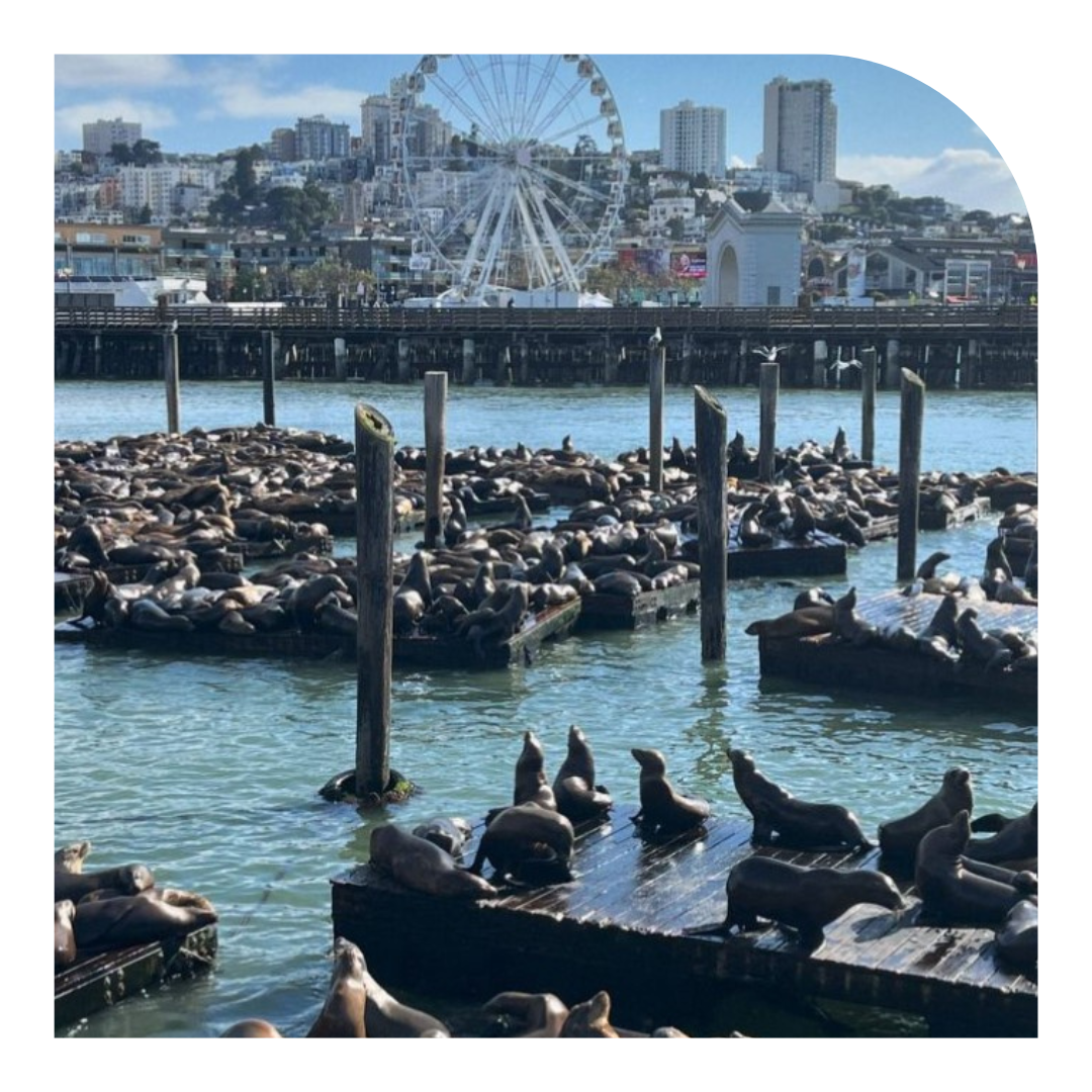 Return to the Wharf