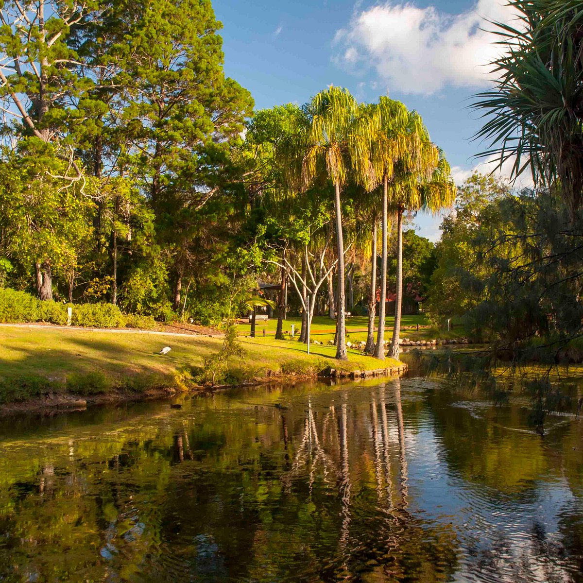 Hervey Bay Botanic Gardens