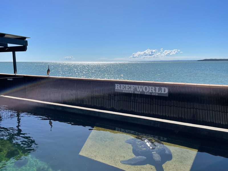 Reef World Aquarium