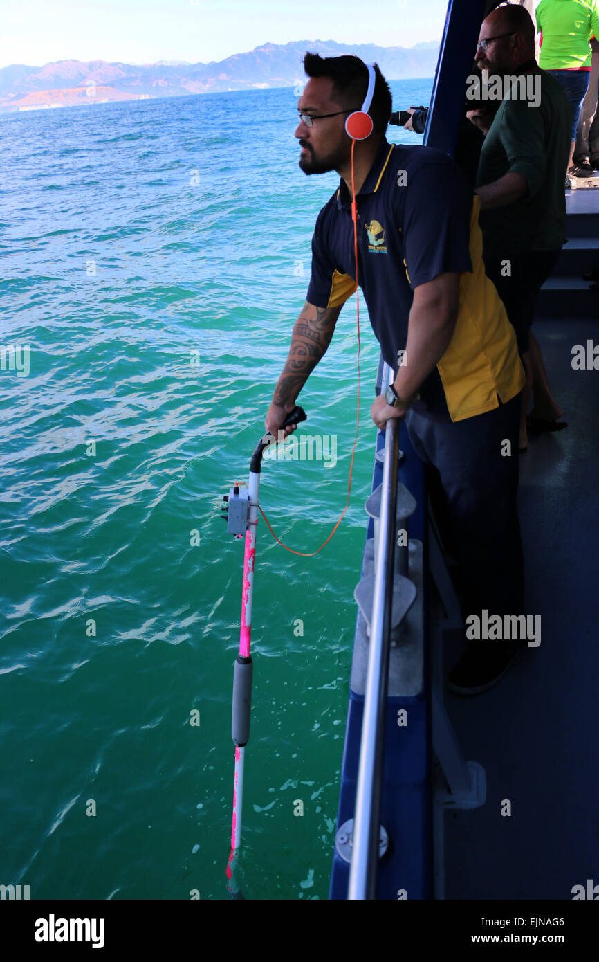 Hydrophone Listening Station