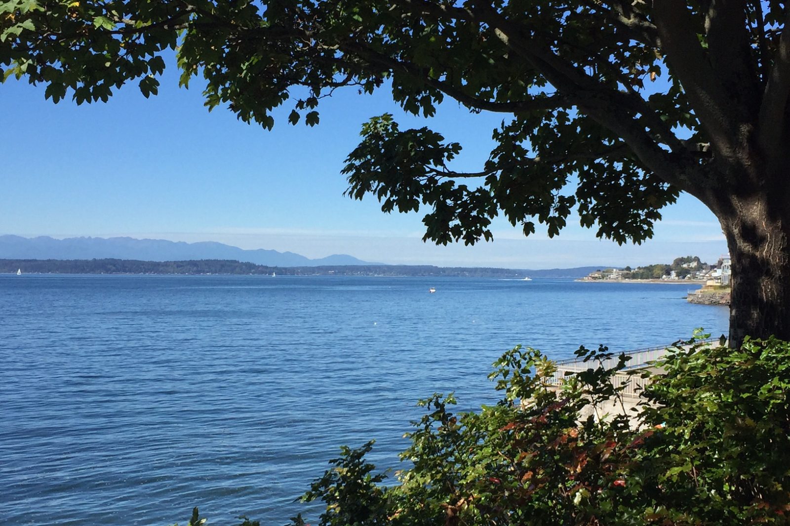 Emma Schmitz Memorial Overlook
