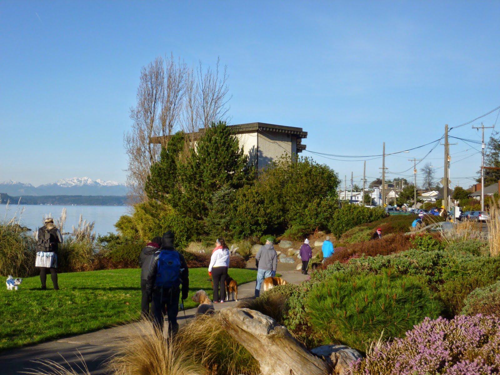 Charles Richey Sr Viewpoint