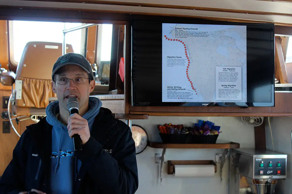 Naturalist Presentation Station