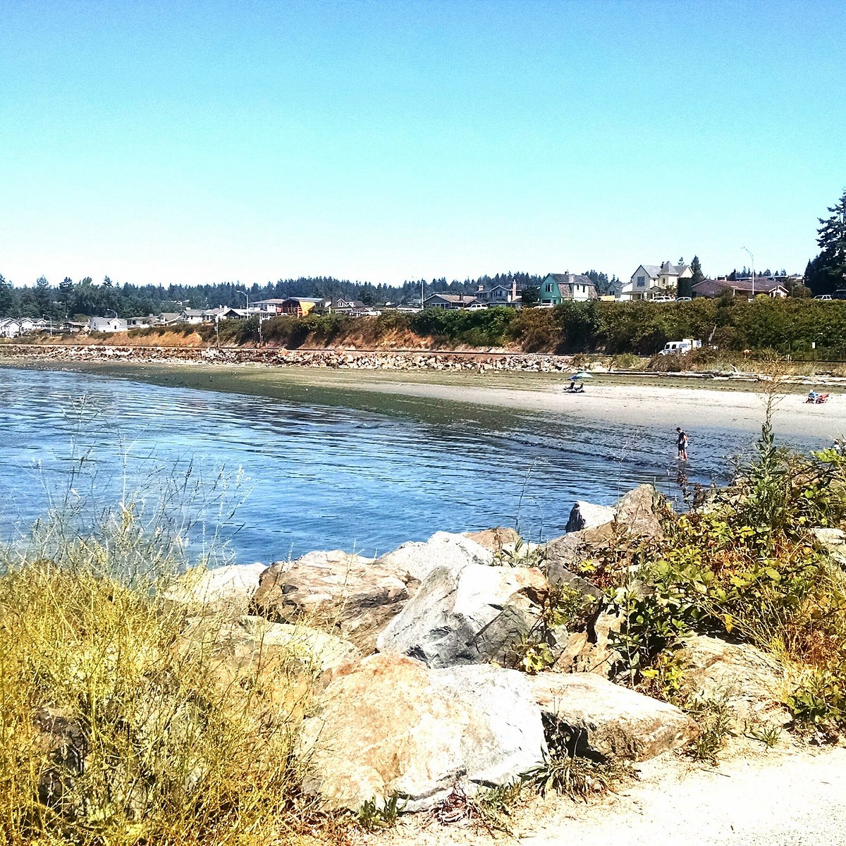 Brackett's Landing Shoreline Sanctuary