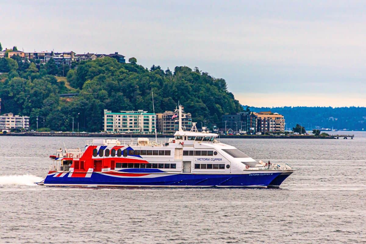 Onboard Wildlife Viewing Decks