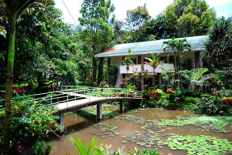 Philippine Eagle Center Location