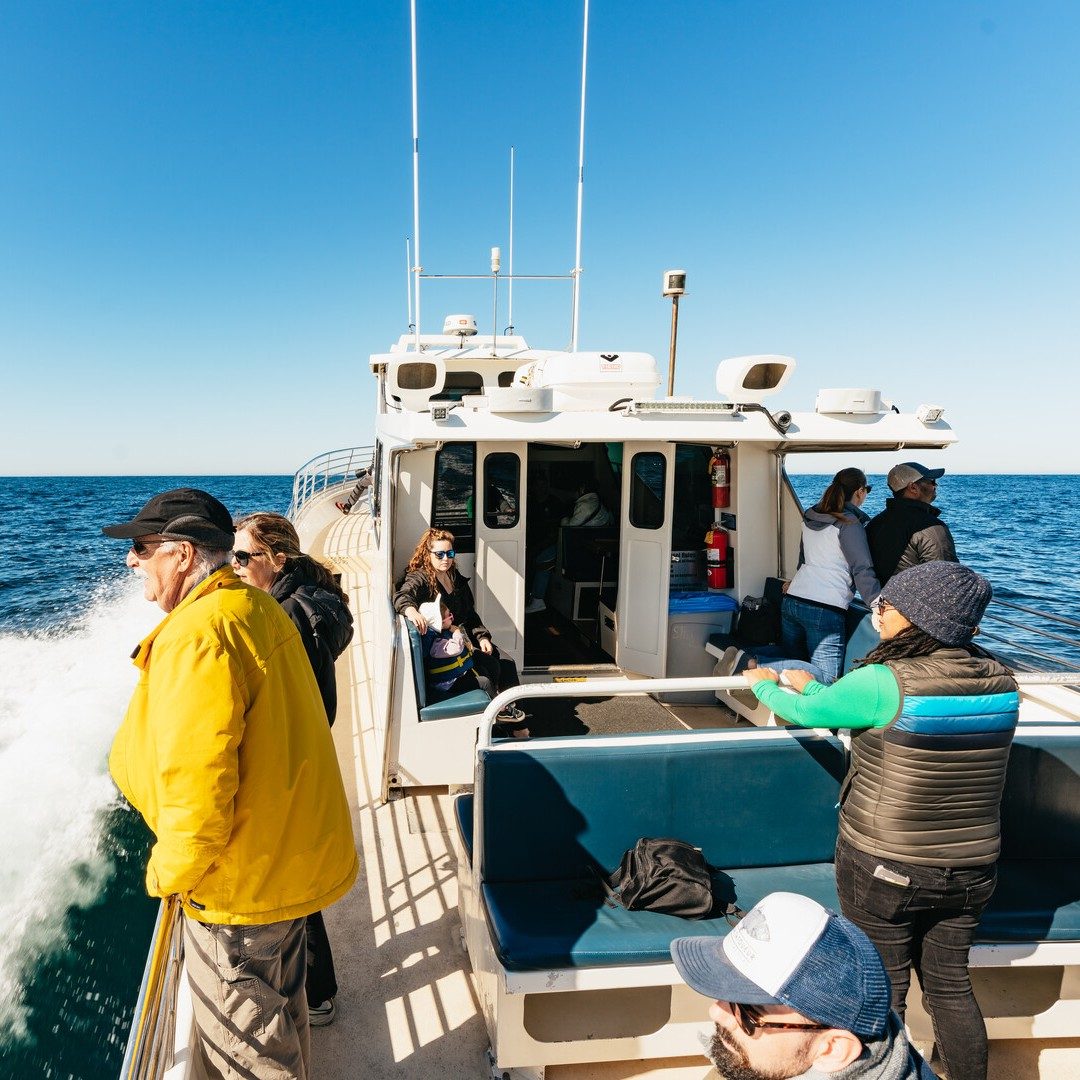 The Blackfin Catamaran
