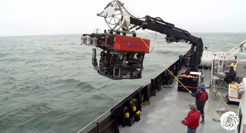 Cruising the Submarine Canyon