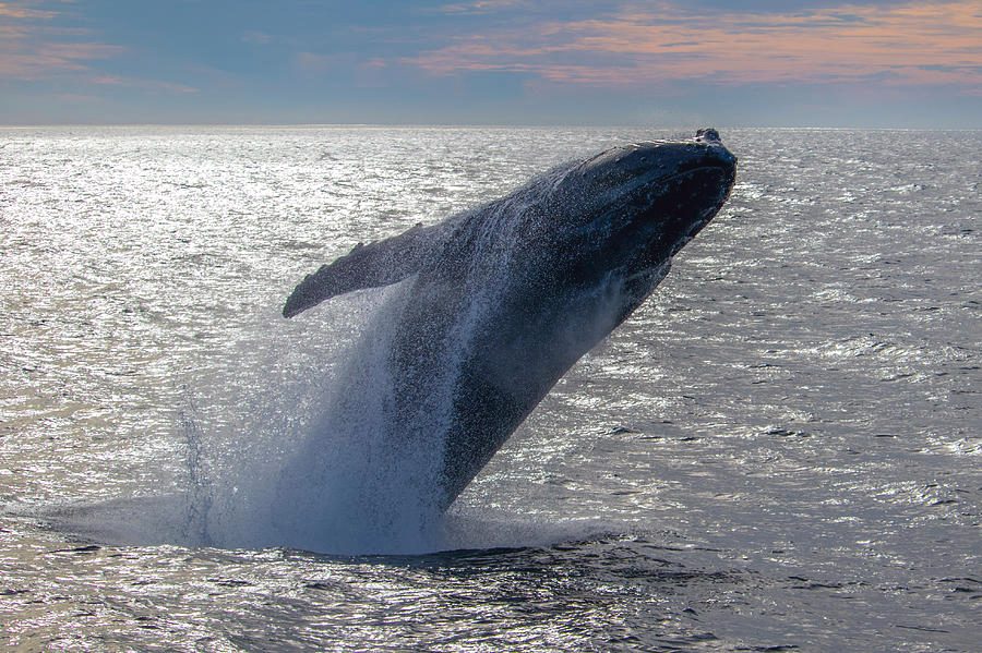 Monterey Bay National Marine Sanctuary