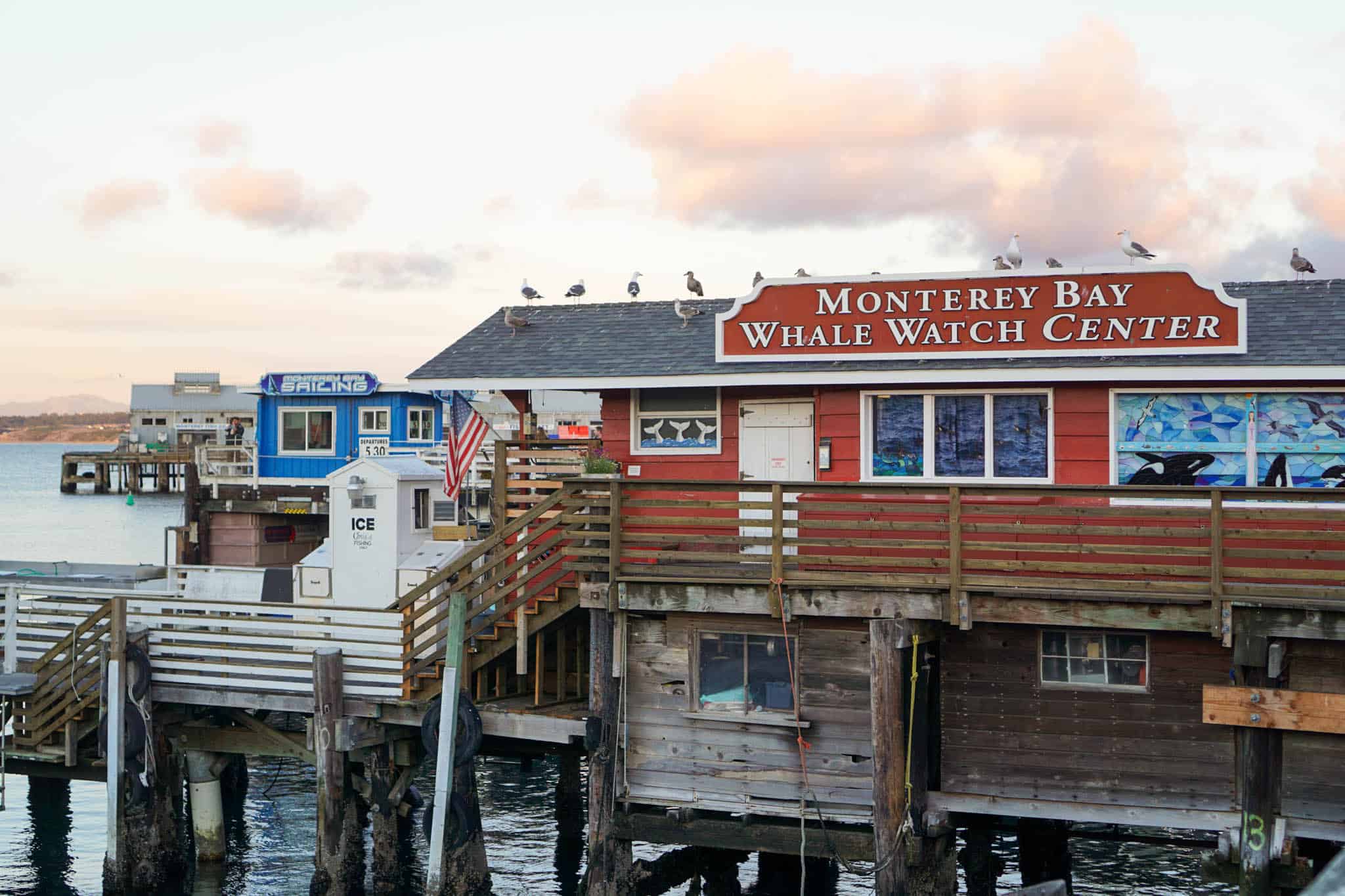Monterey Bay Whale Watch Center