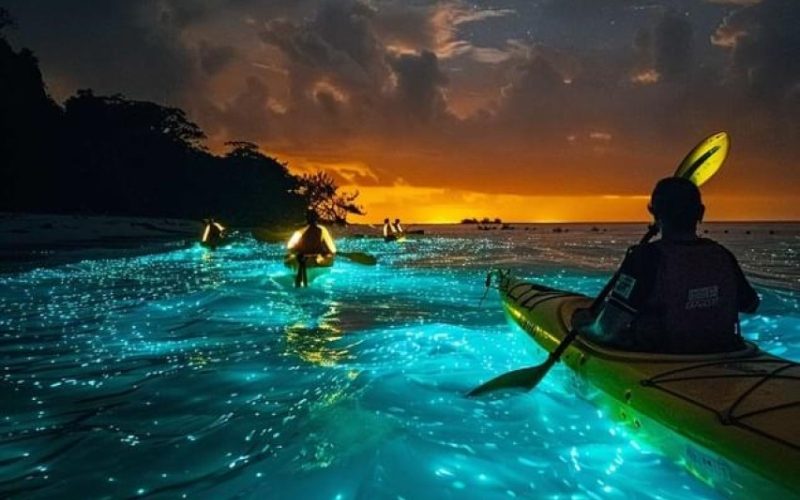 Phang Nga Bay Bioluminescent Plankton From Phuket
