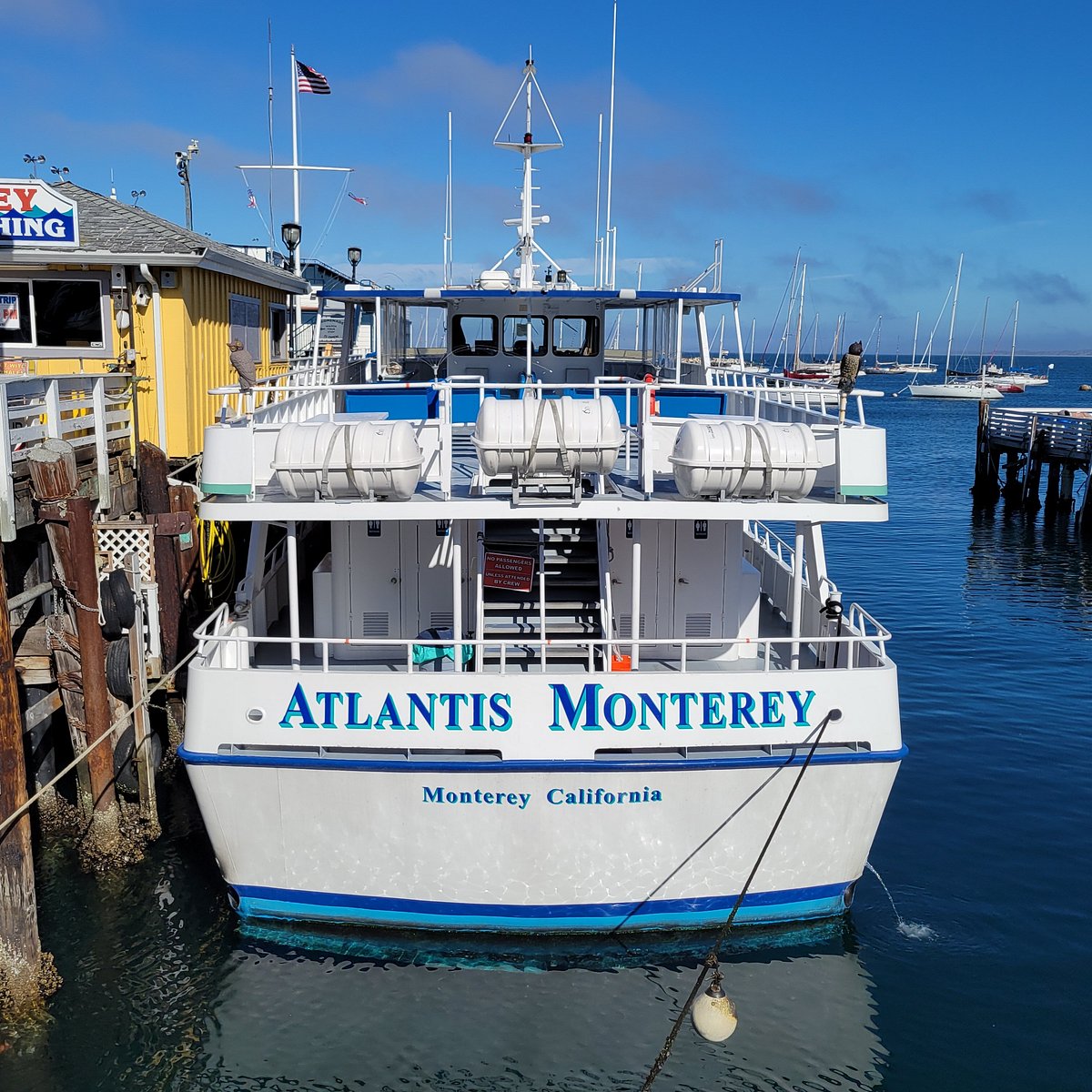 Princess Monterey Vessel