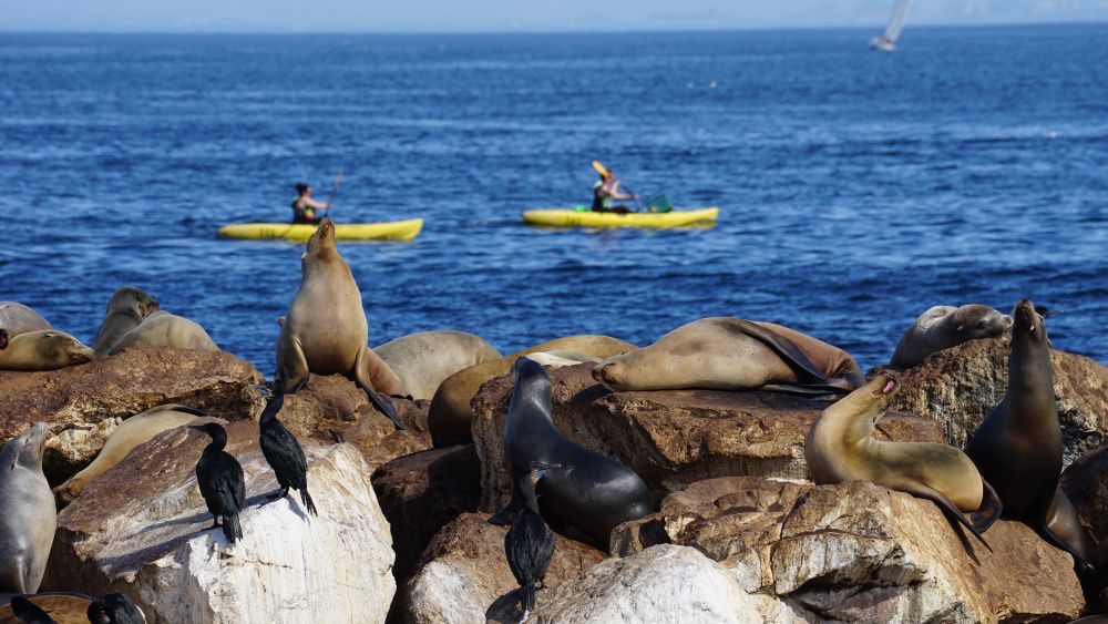 Monterey Bay National Marine Sanctuary