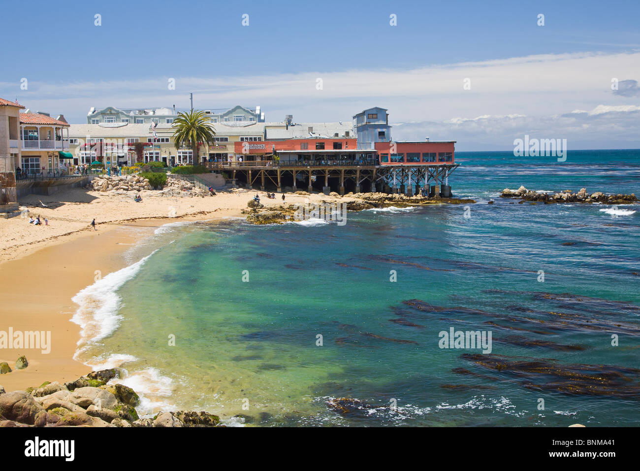Cannery Row Coastline