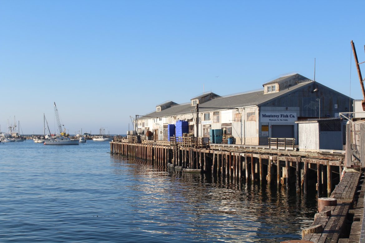 Municipal Wharf II