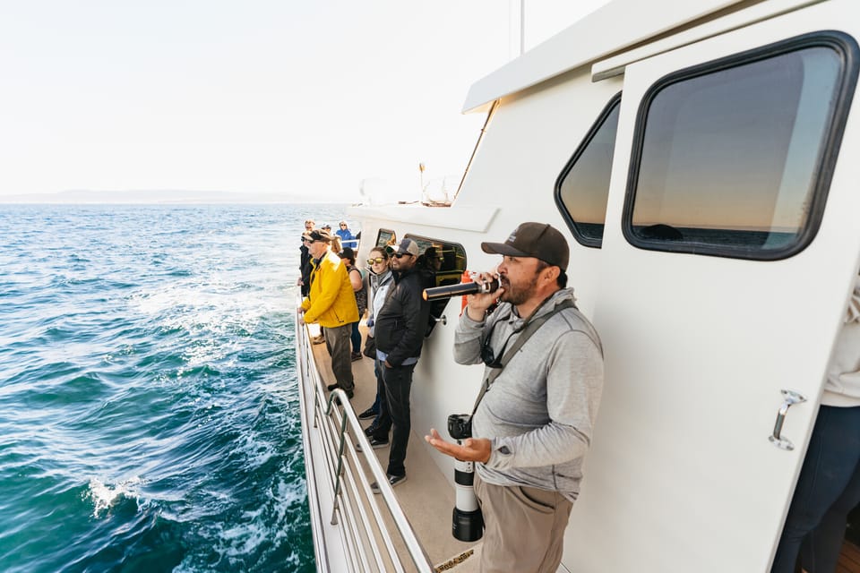 Tour Boat Upper Deck