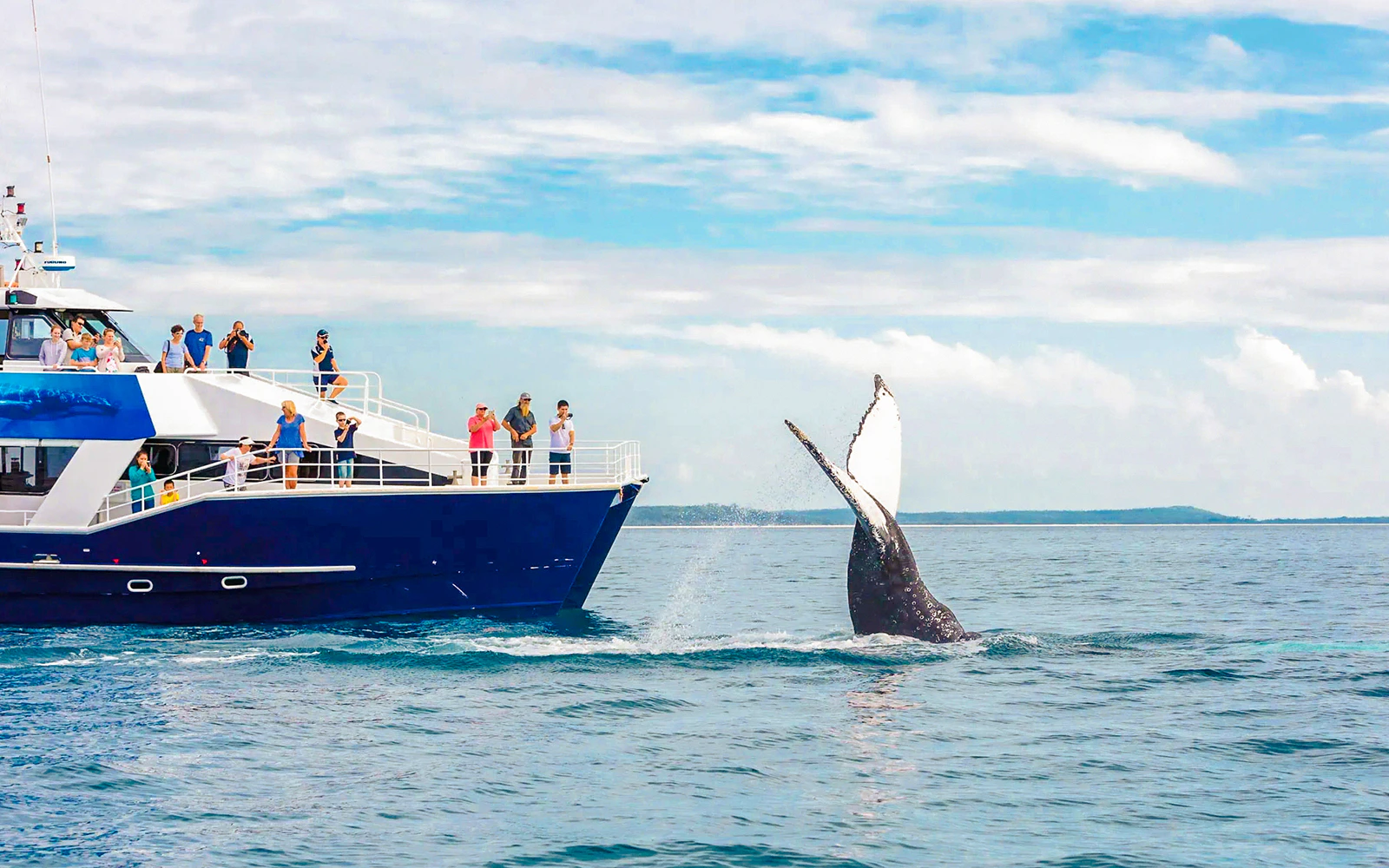 Whale Watching and Return Cruise