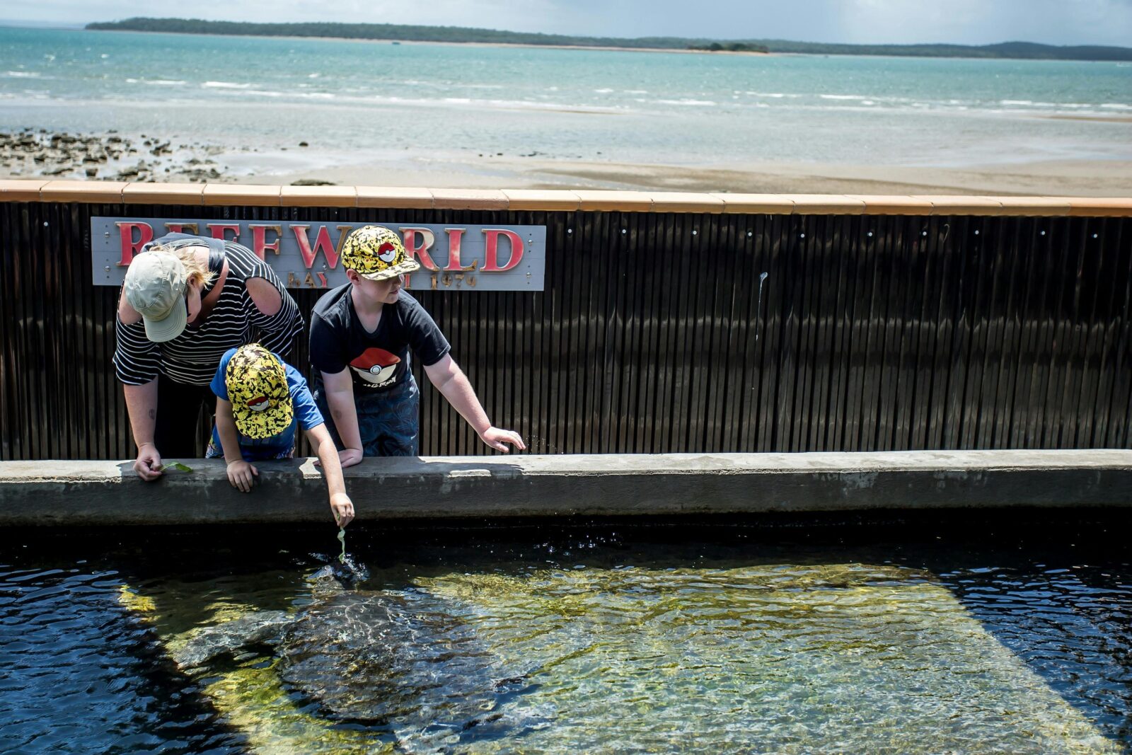 Reef World Aquarium