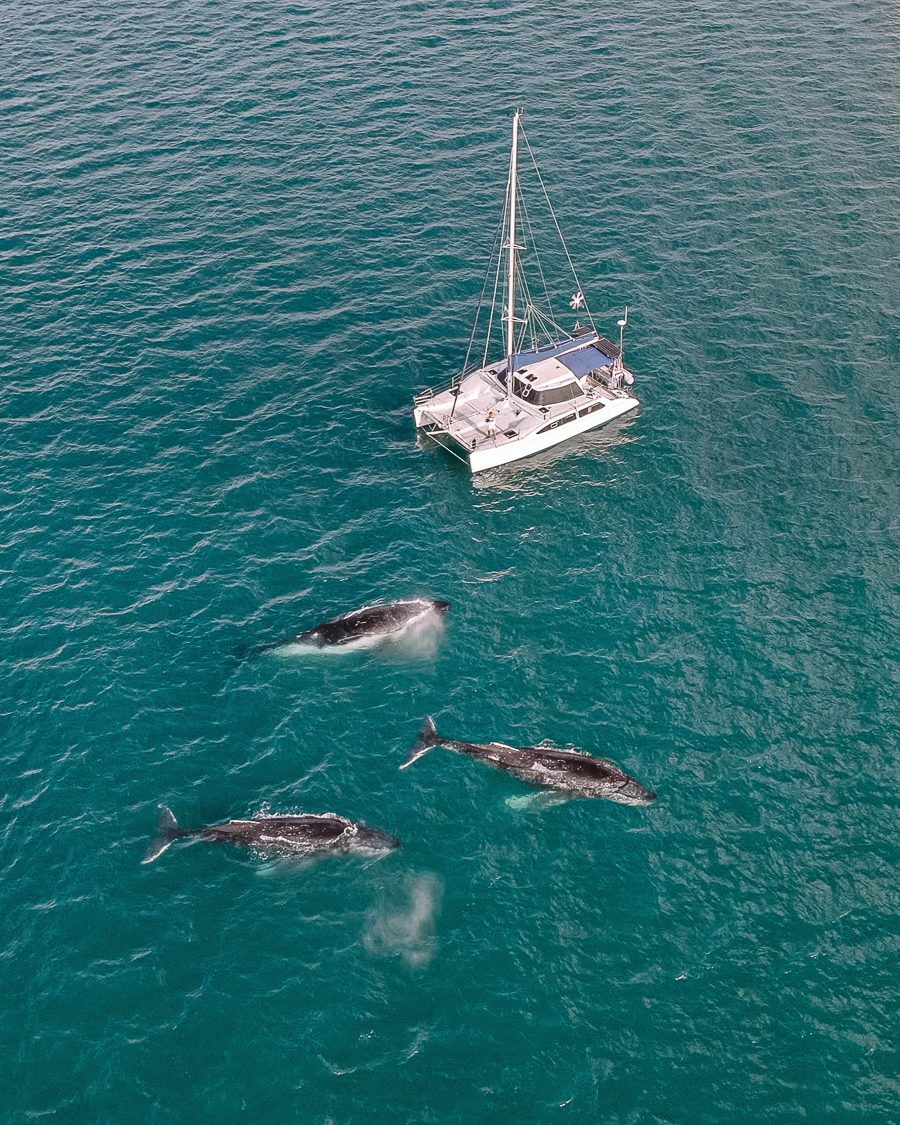 Board the Catamaran