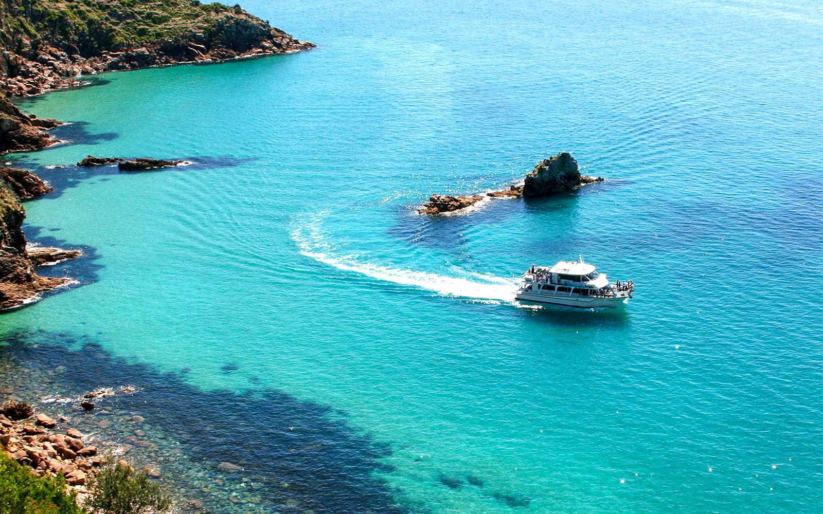 Cape Woolamai Cruise Reviews