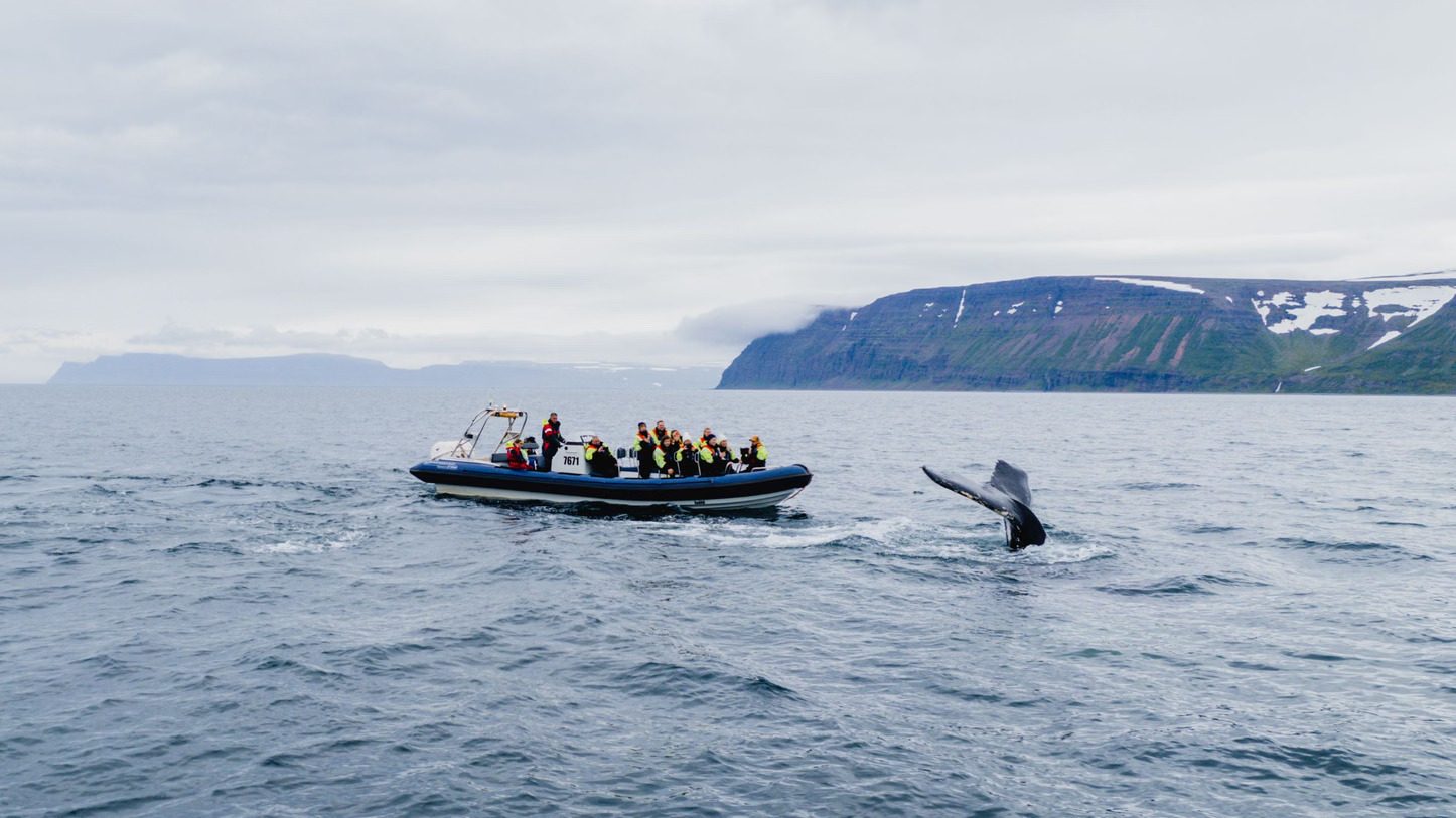 Husavik Whale Watching Rib Boat