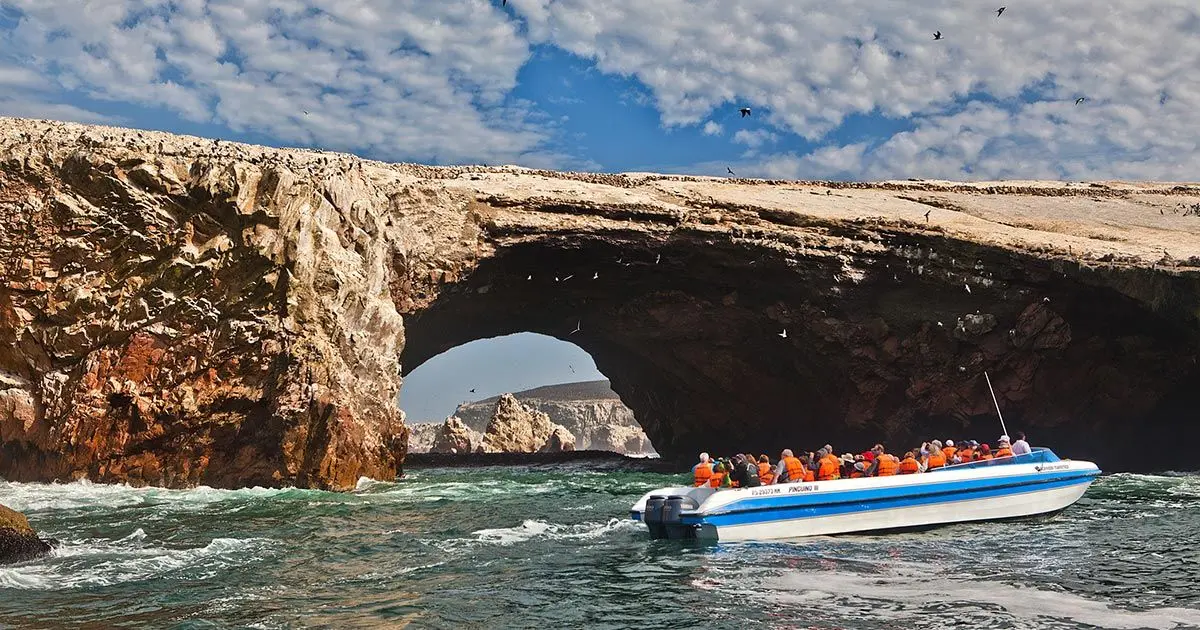 Ballestas Islands Boat Tour Price
