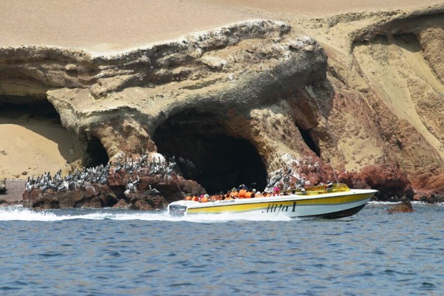 Ballestas Islands Day Trip From Lima