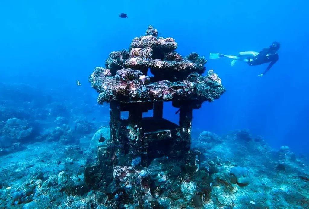 Amed Snorkeling Spots