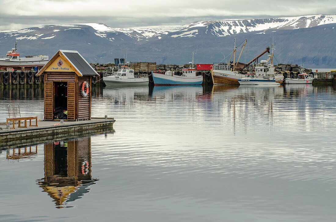 Skjálfandi Bay