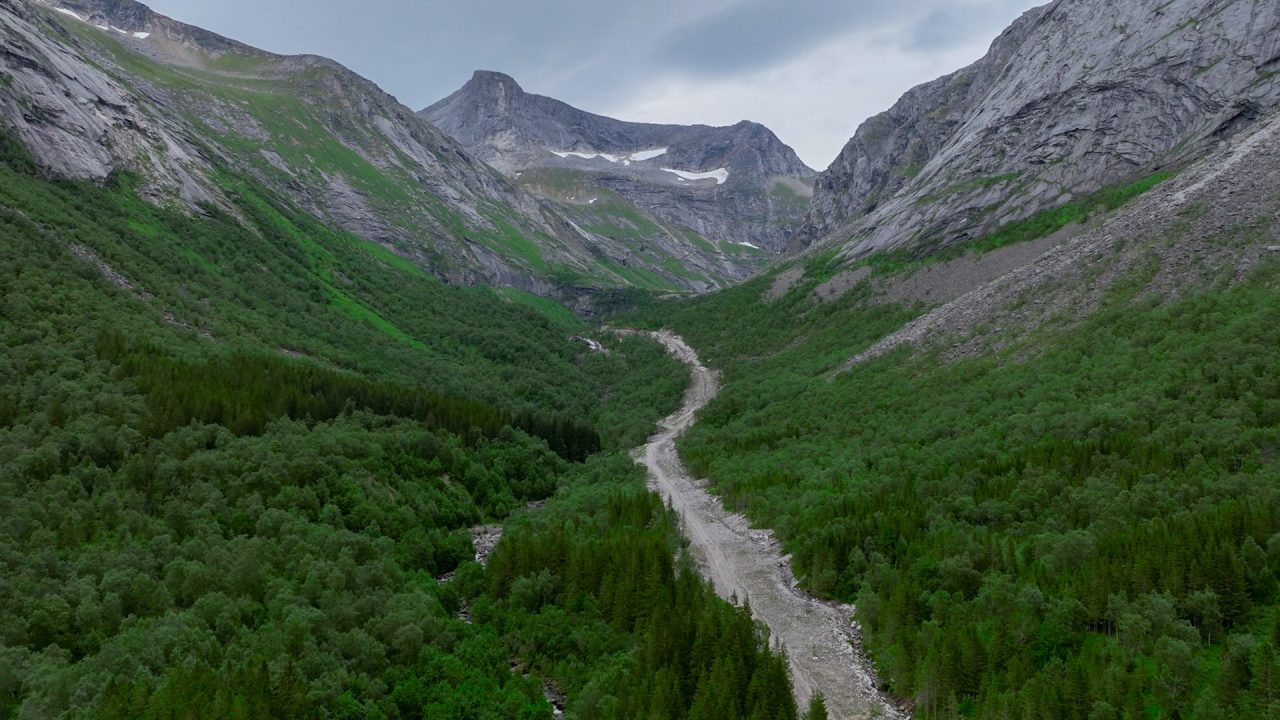 Breivikelva