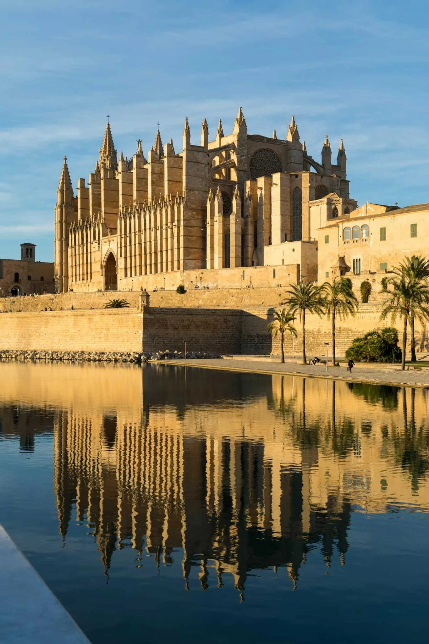 Palma Cathedral Viewpoint