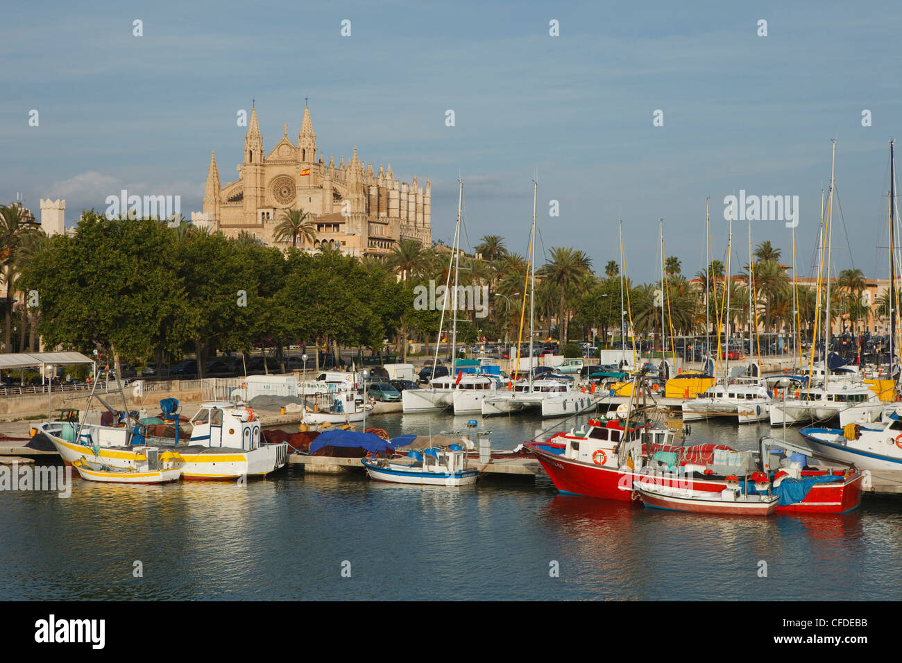 Return Cruise to Palma