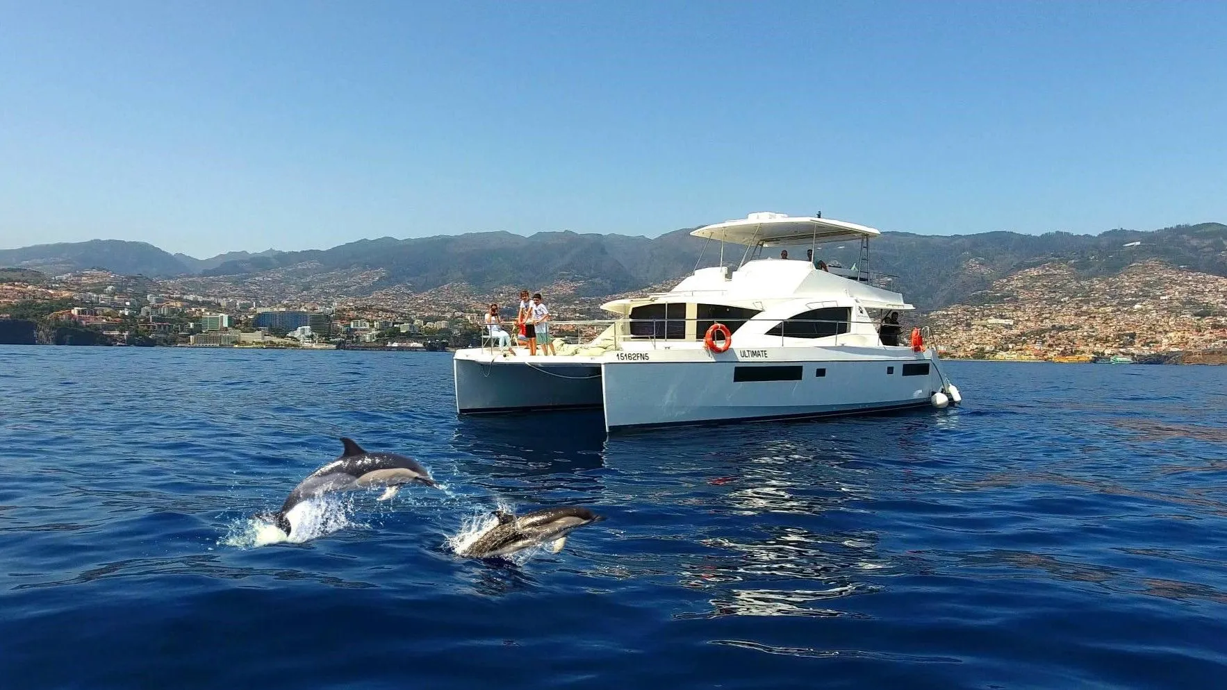 Return to Funchal Marina
