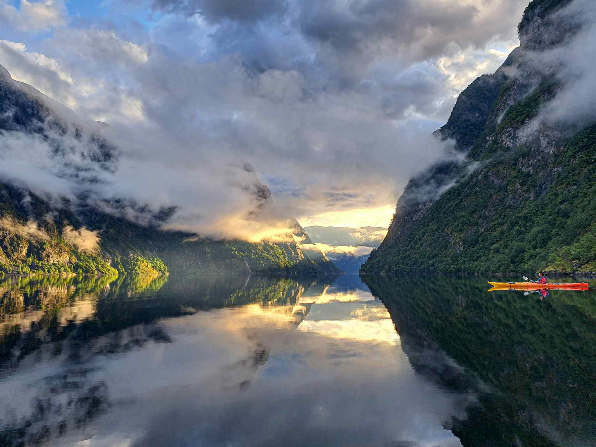 Kvænangen Fjord Feeding Grounds