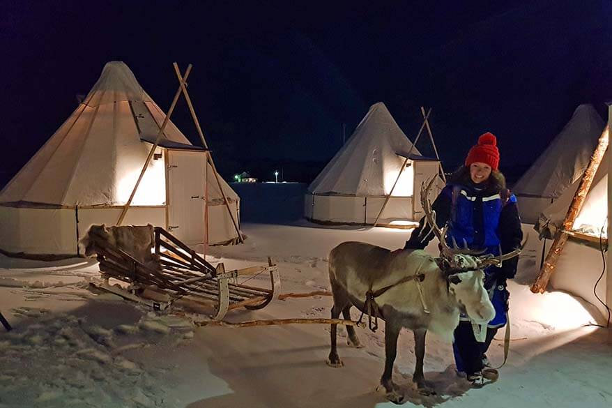 Sleigh Ride and Feeding
