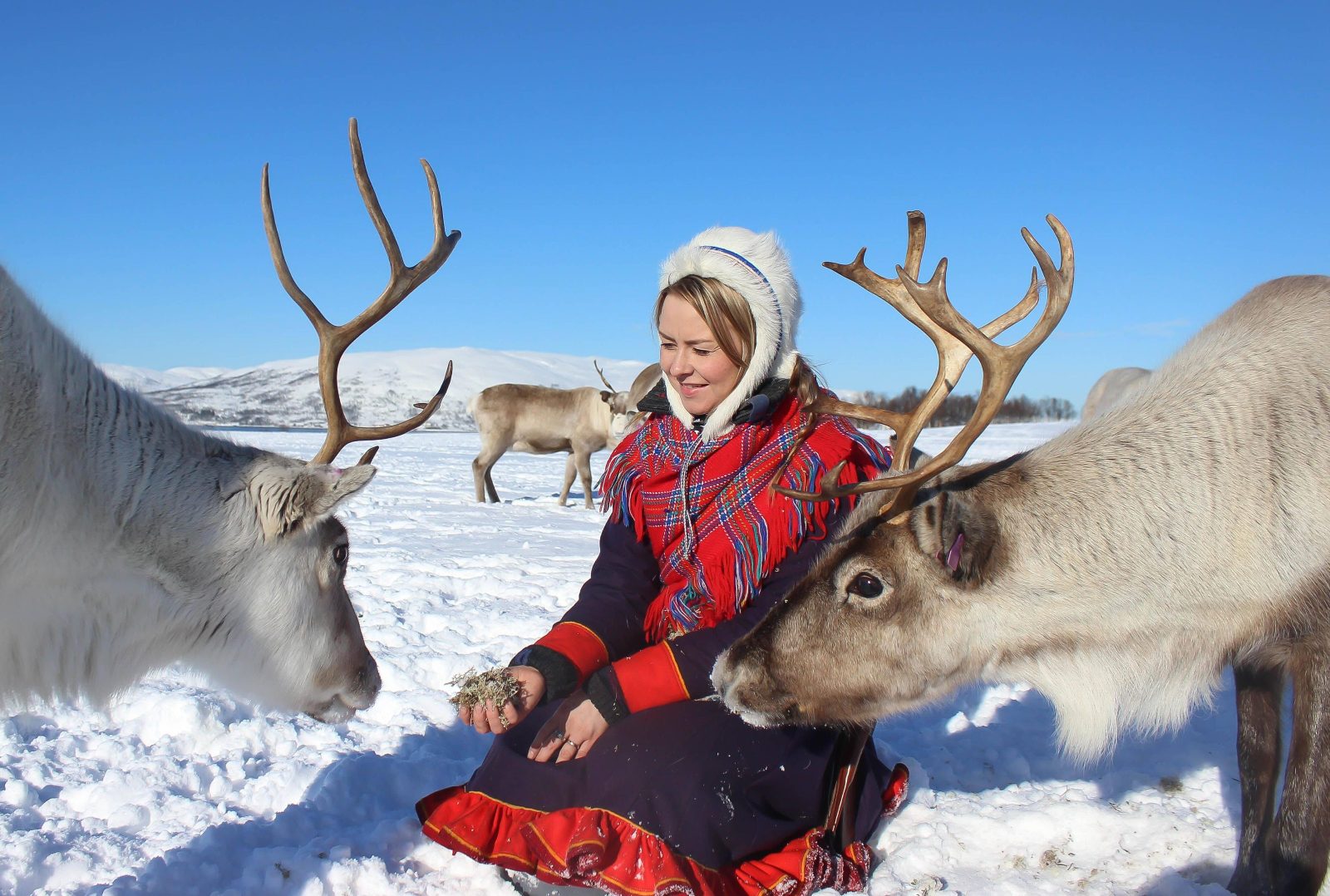 Sami Gamme