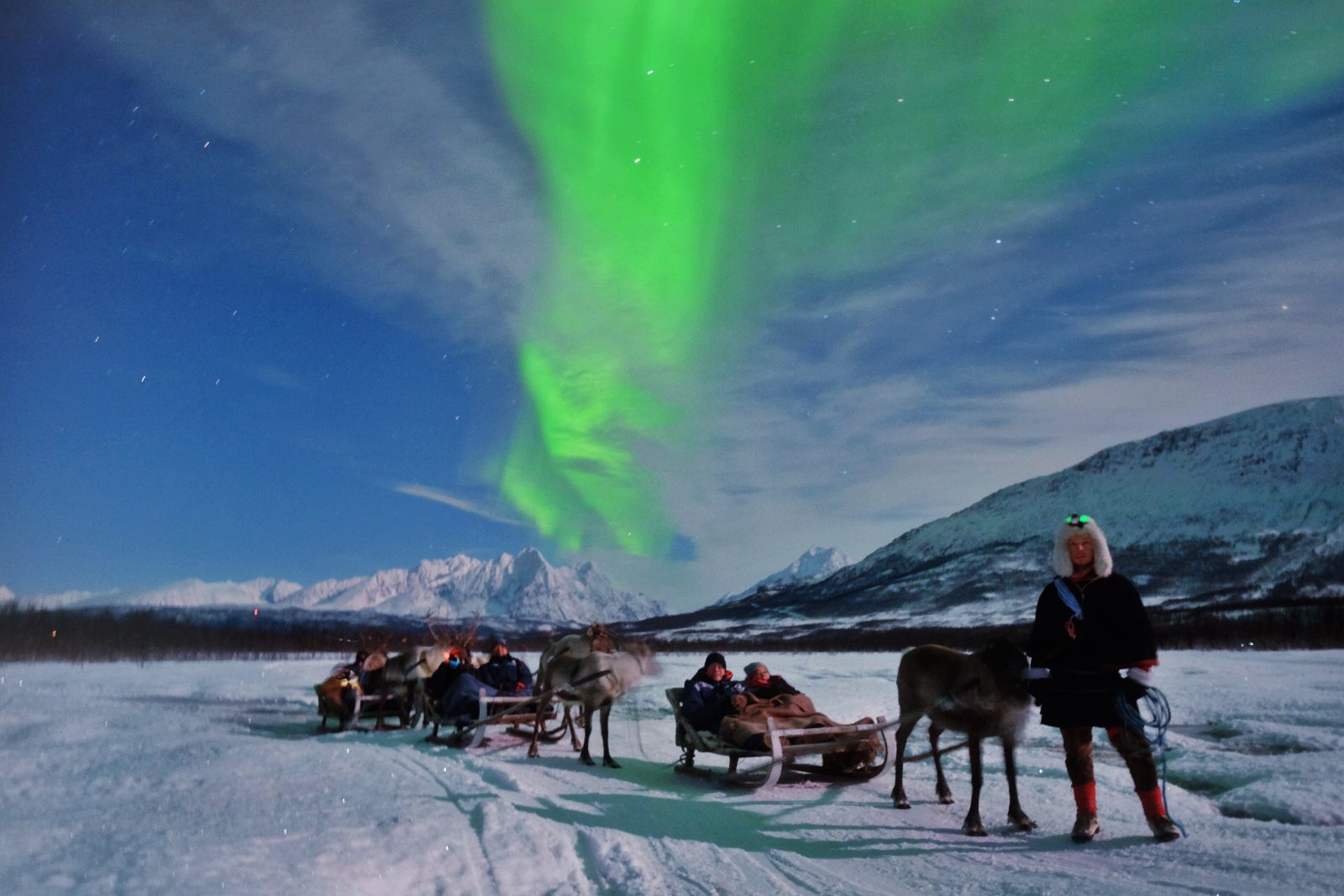 Tromso Reindeer Sledding With Chance to See Northern Lights