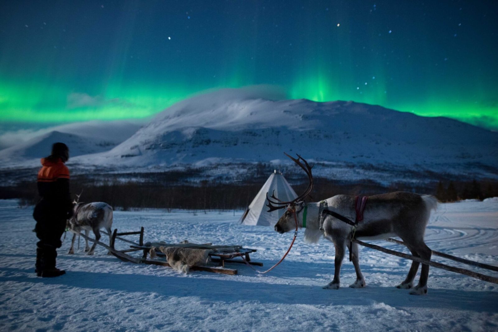 Northern Lights Viewing Field