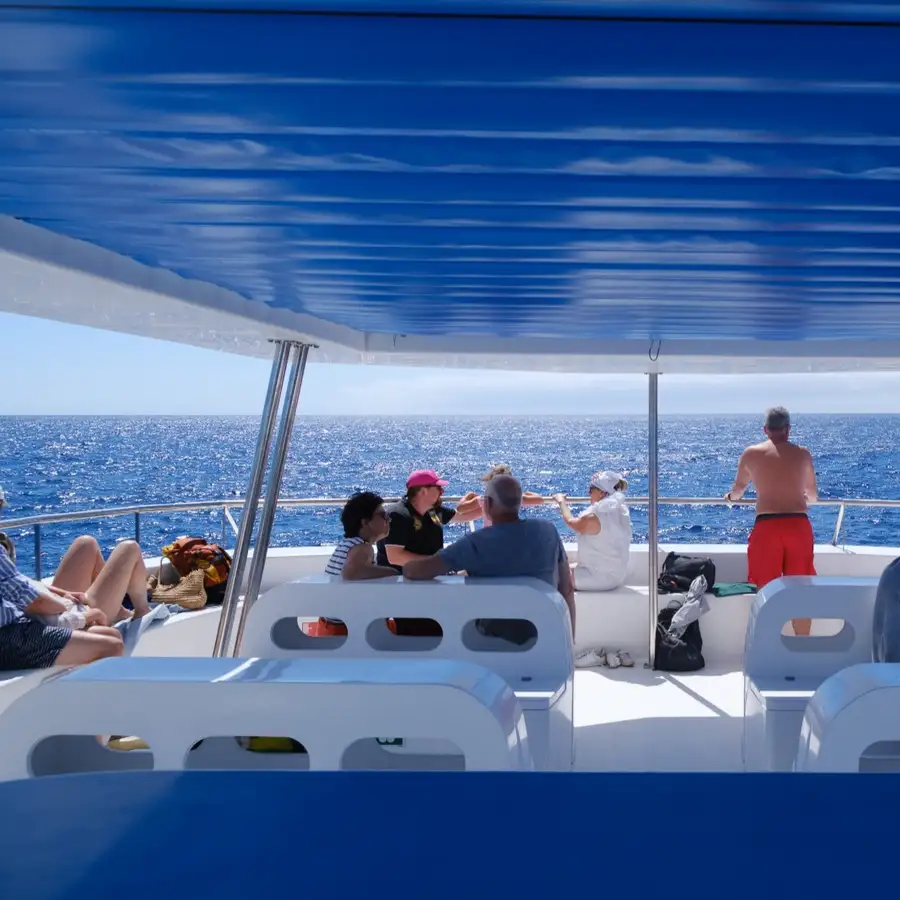 Catamaran Upper Deck