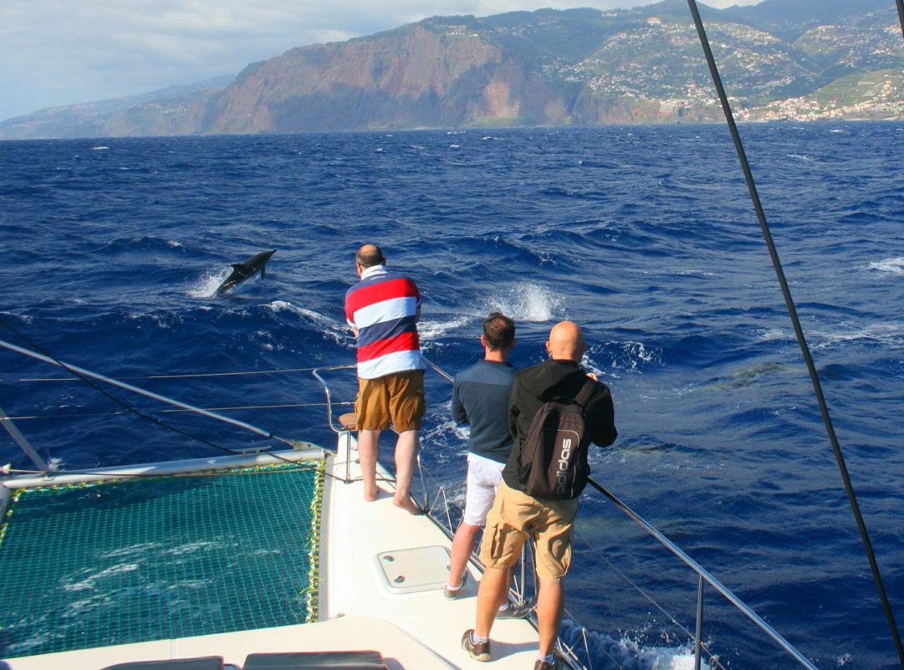 Step 2: Searching for Cetaceans