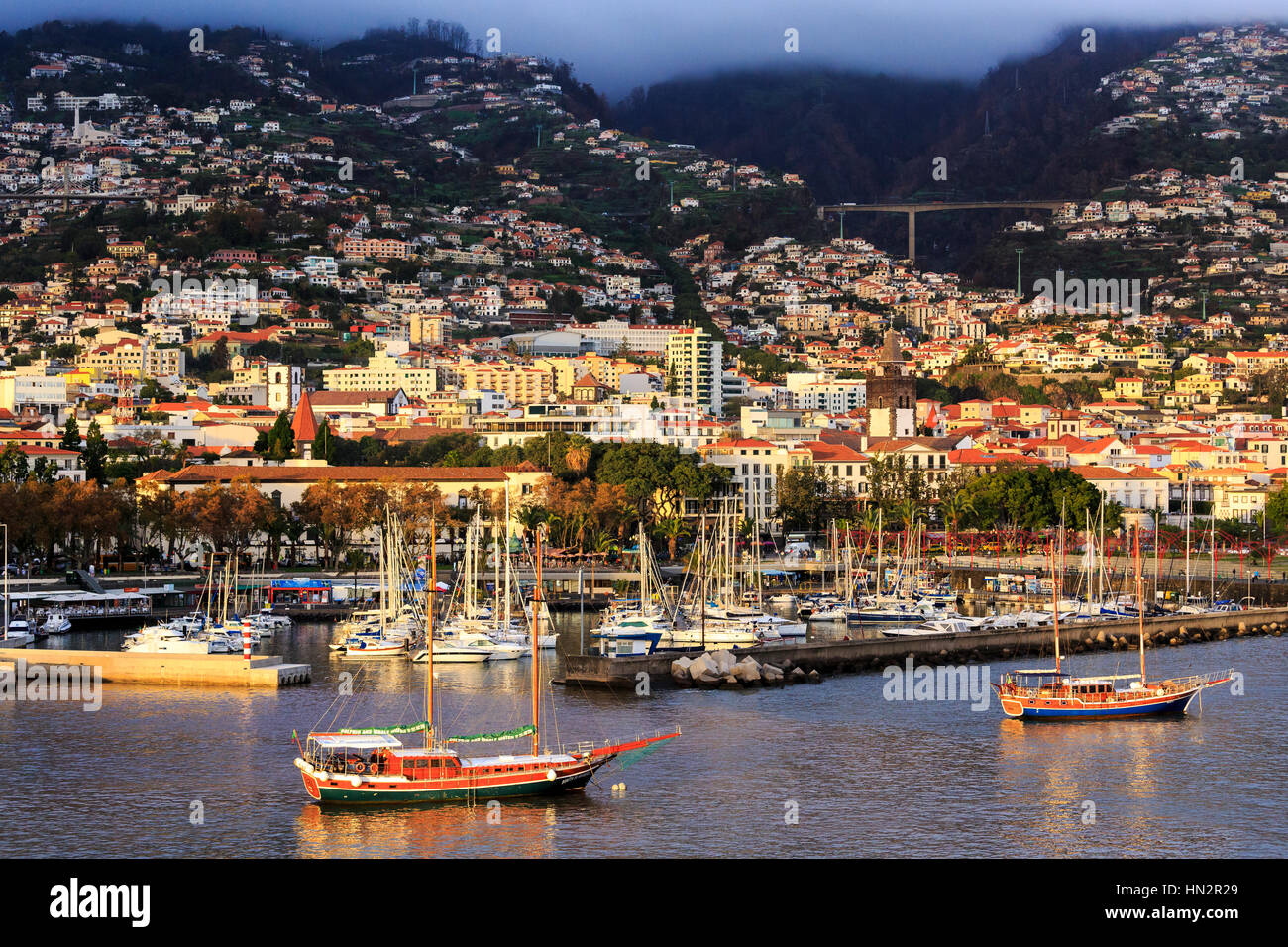 Marina do Funchal