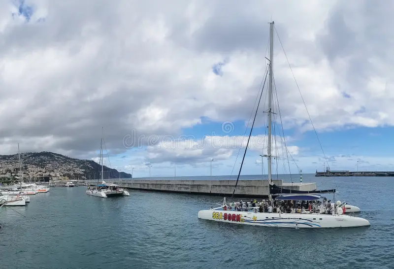 Catamaran Bow Netting