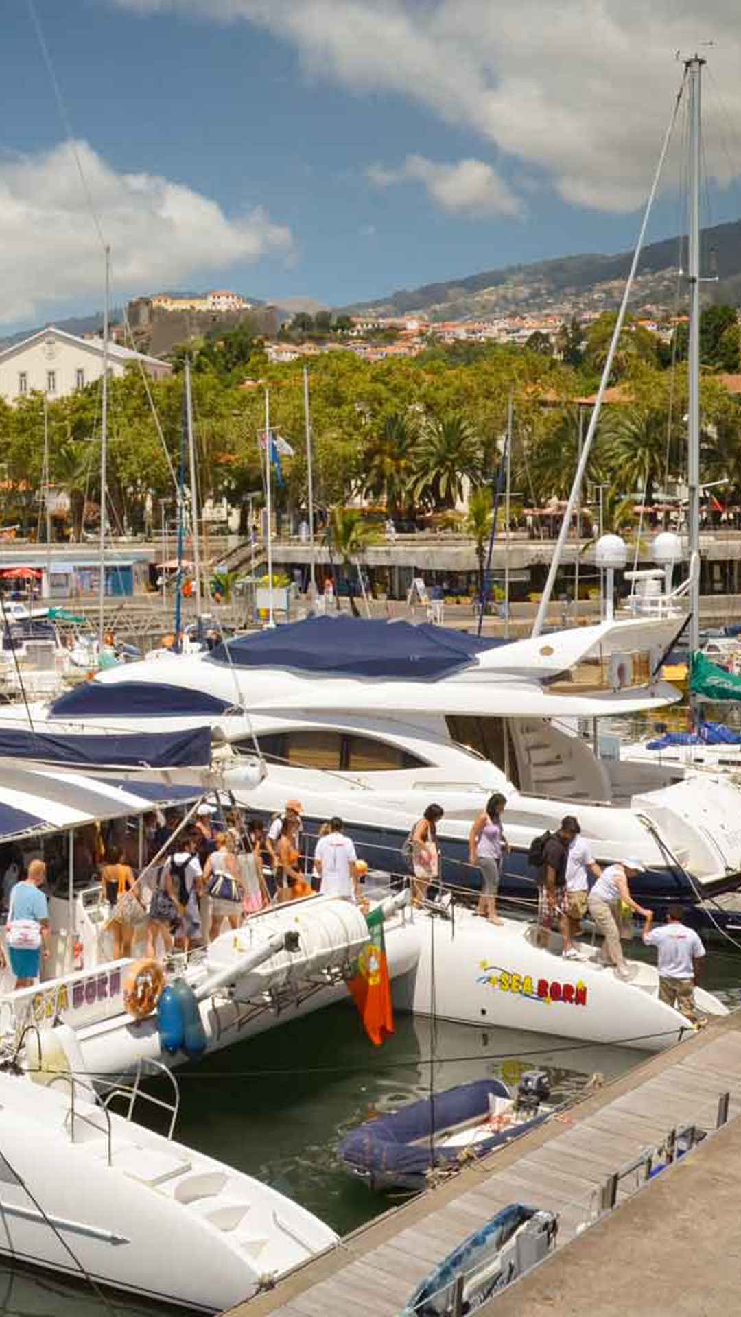 Catamaran Boarding
