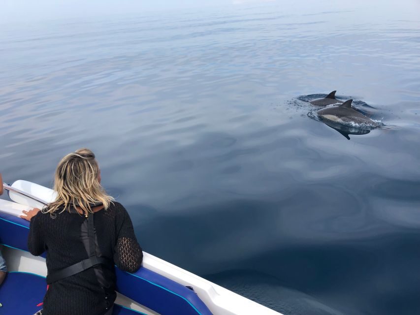 Search for marine life