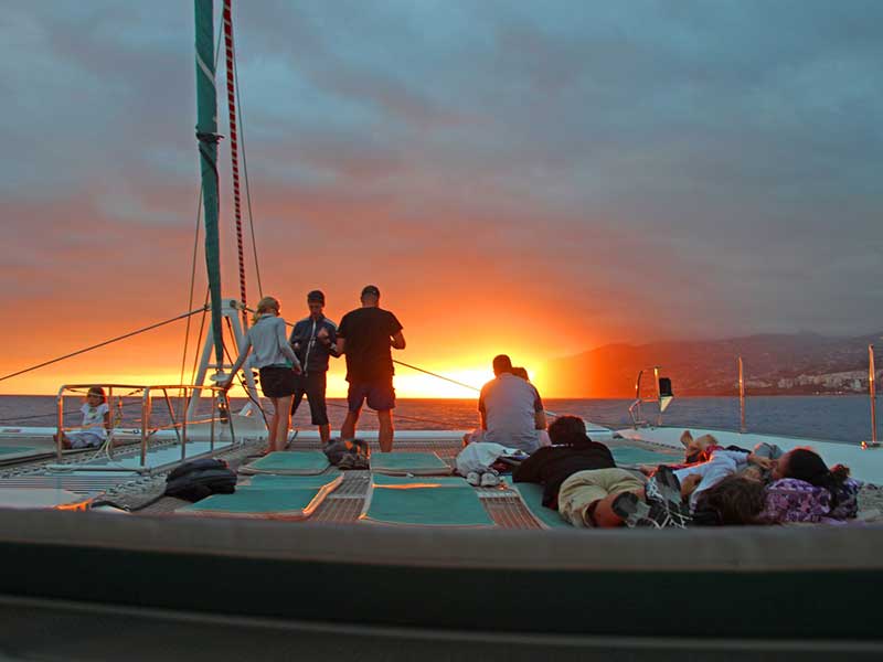 Catamaran Bow Netting