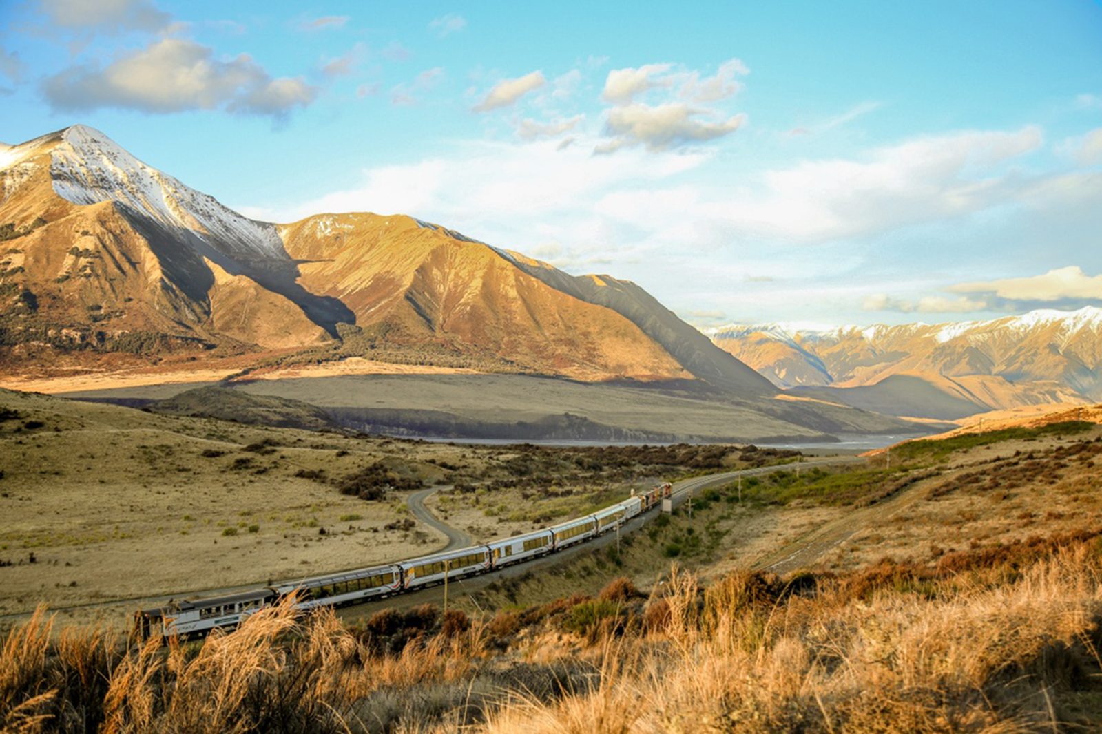 Tranzalpine Train Day Trip Cost