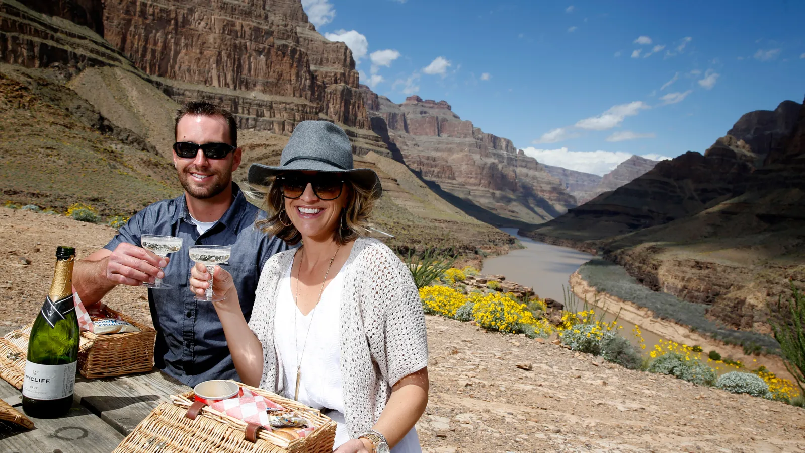 Champagne Picnic Lunch