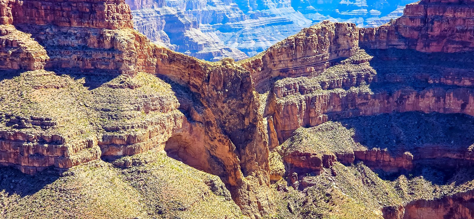 Viewpoint Shuttle Tour