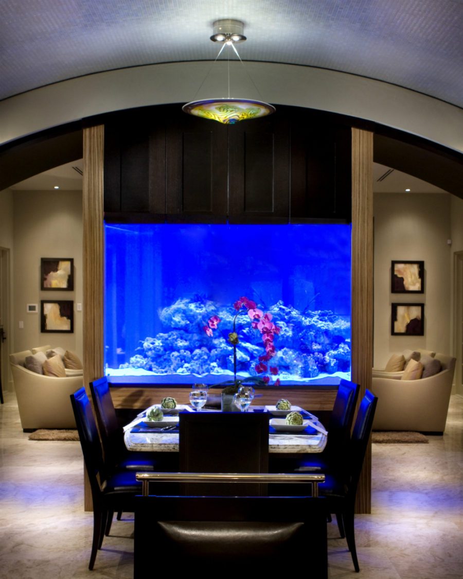 Interactive Aquarium Cancún